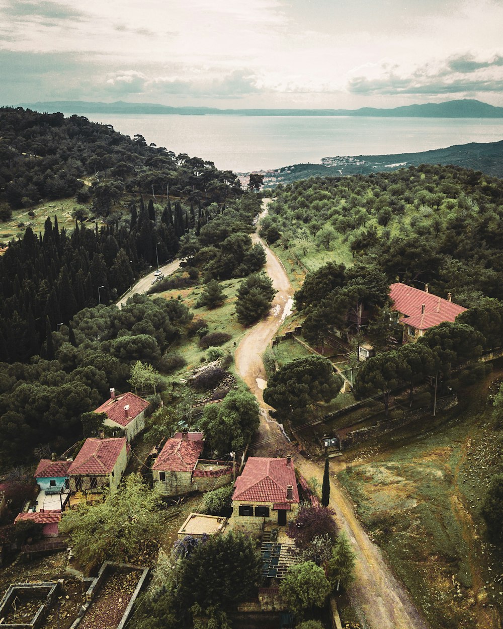 houses and green trees in aerial photography
