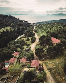 The image depicts a serene landscape with a narrow dirt road running through a lush green forested area. Several houses with red-tiled roofs are scattered along the road, surrounded by dense trees and vegetation. In the background, a calm body of water is visible, bordered by distant mountains under a cloudy sky.