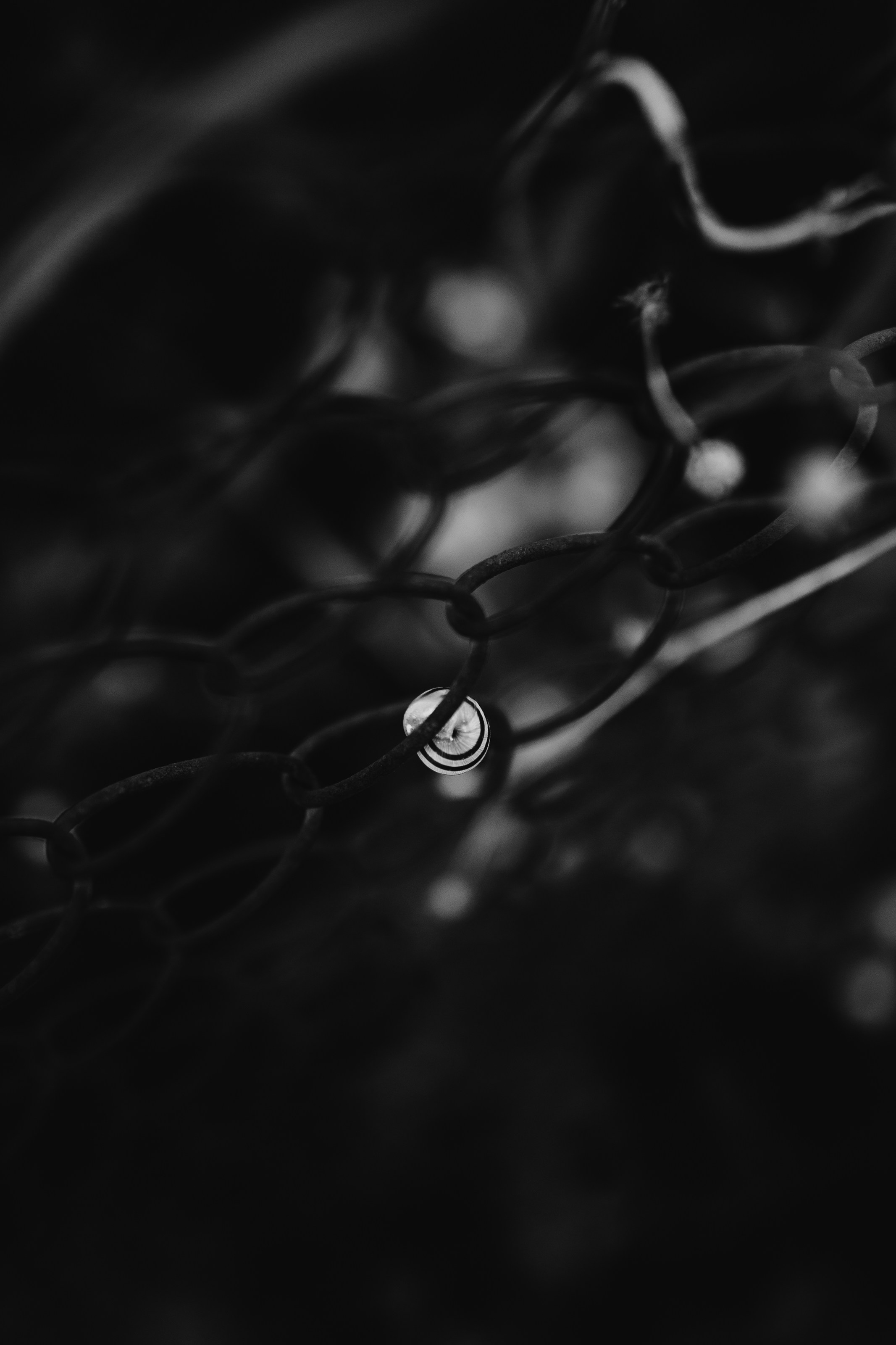 Photo by barnikakovacs