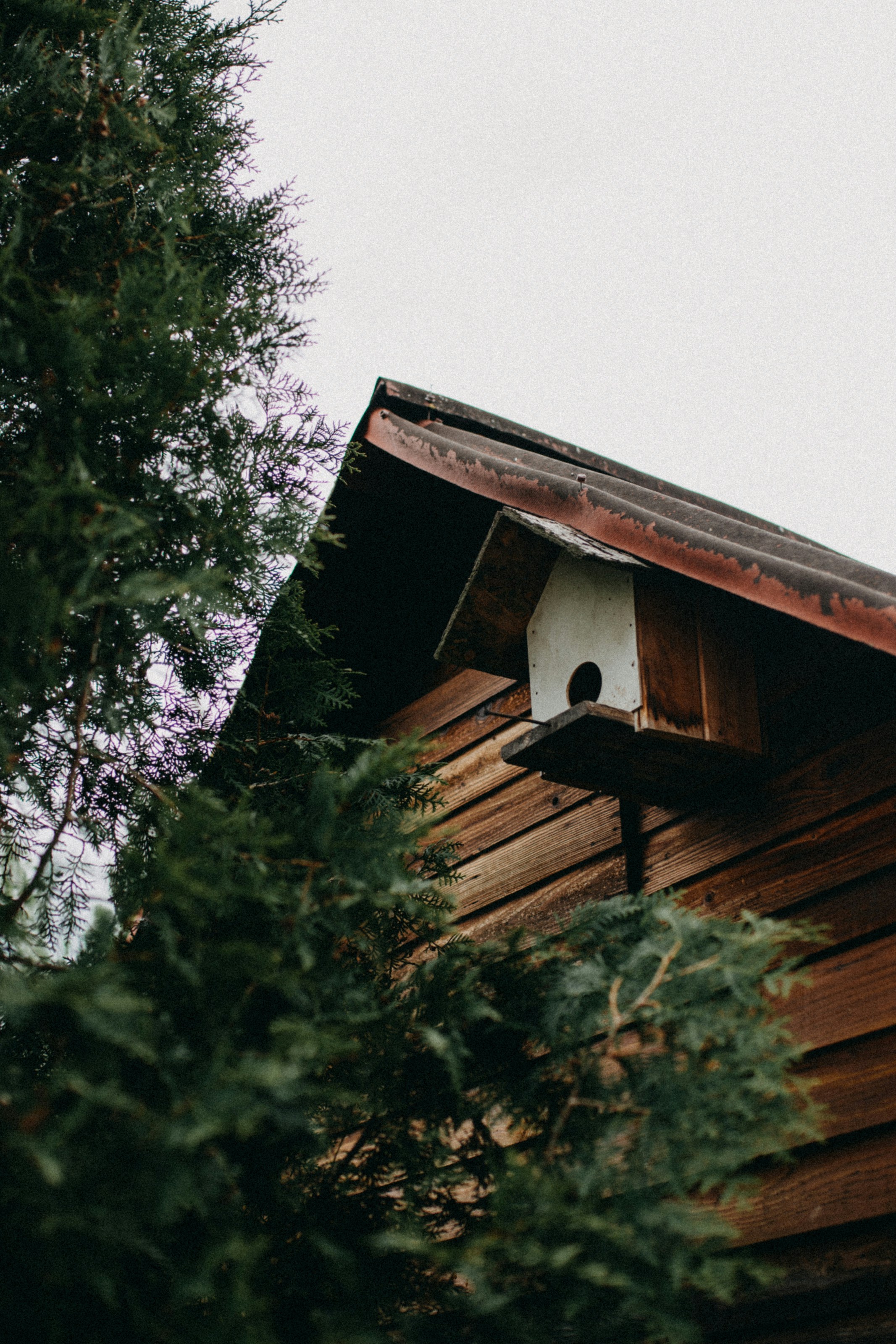 Photo by barnikakovacs