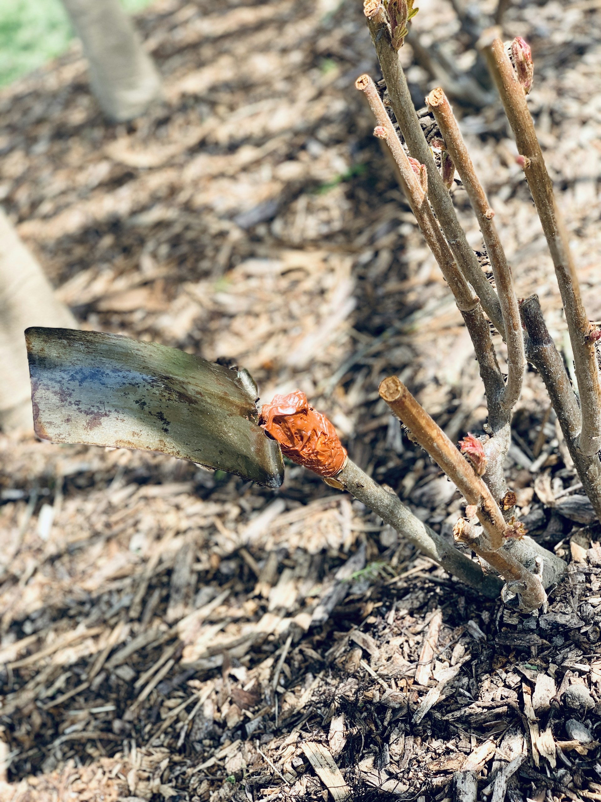 woman wearing yellow long-sleeved dress under white clouds and blue sky during daytime