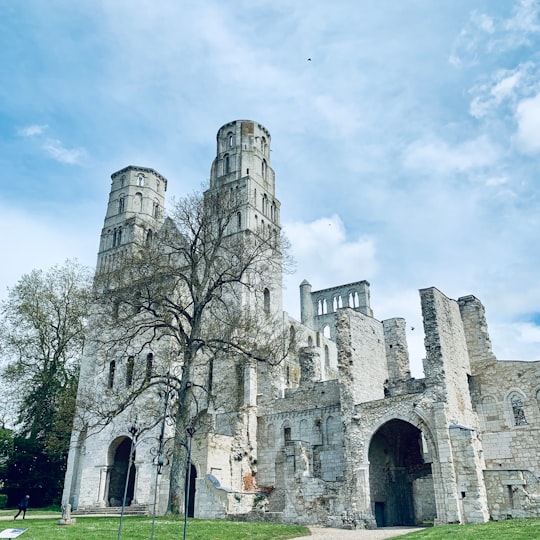 Abbaye de Jumièges things to do in Normandy