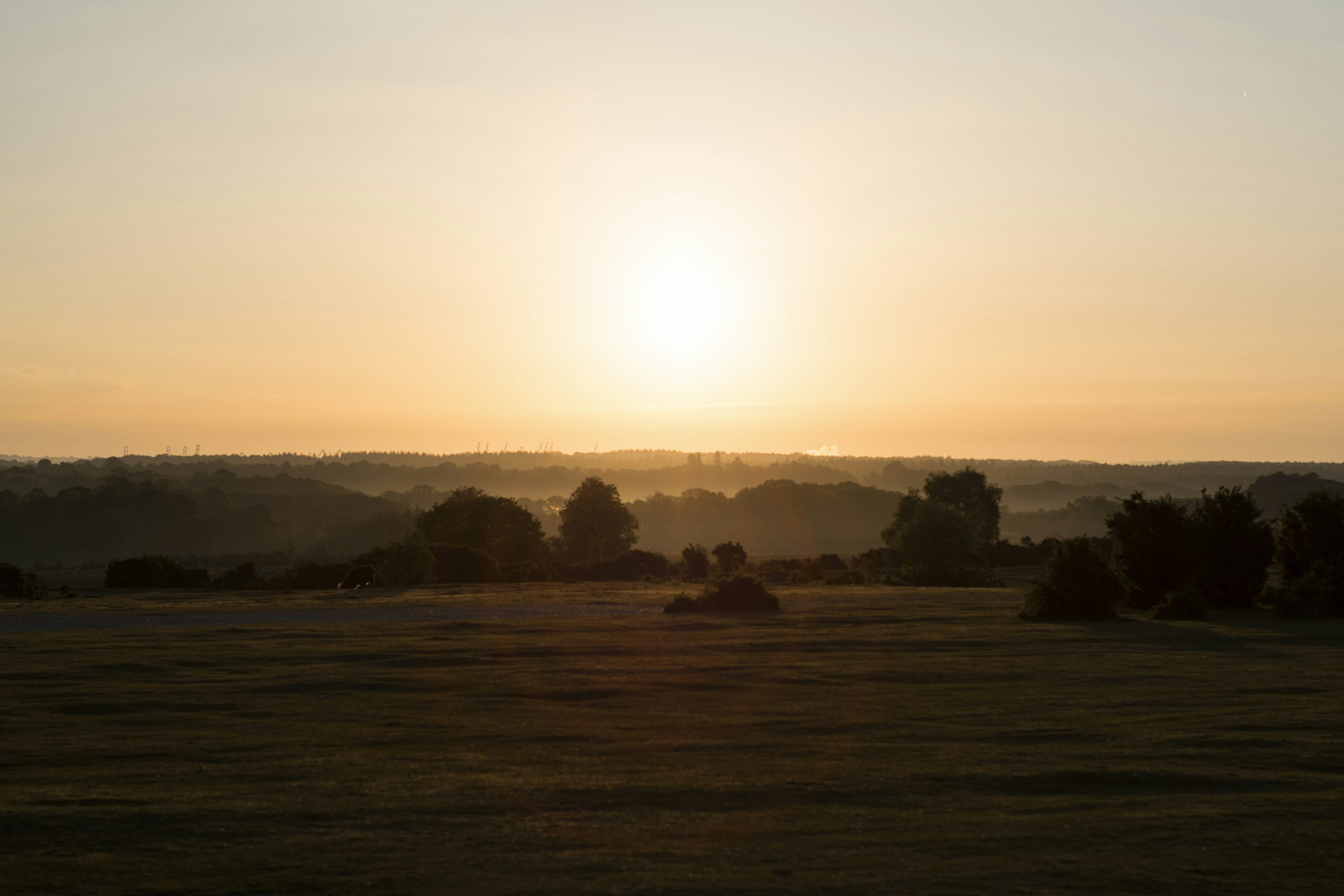 Photo by itsrobcoates