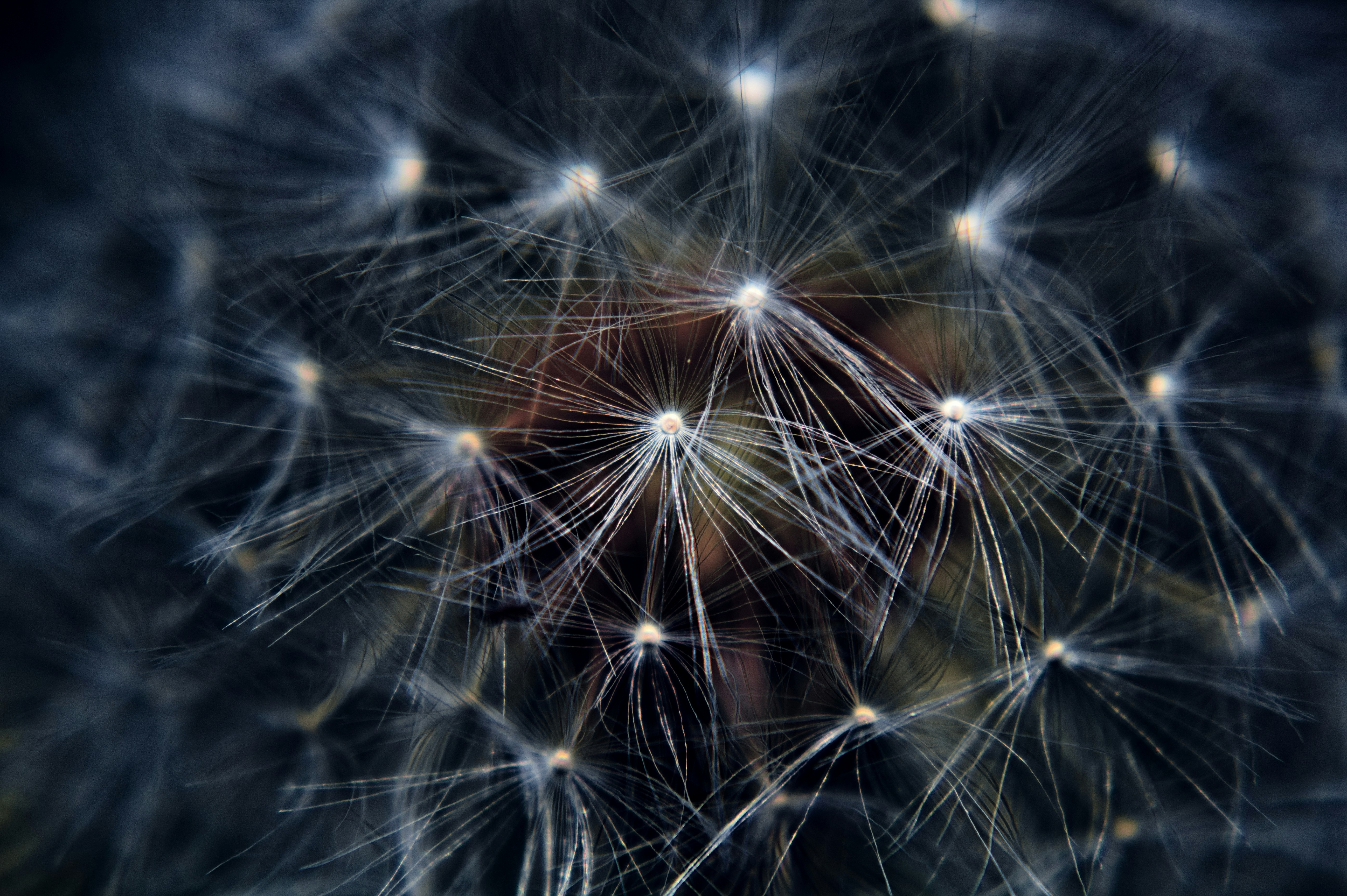 What Is a Neural Network? A Heartfelt Wish for AI's Future