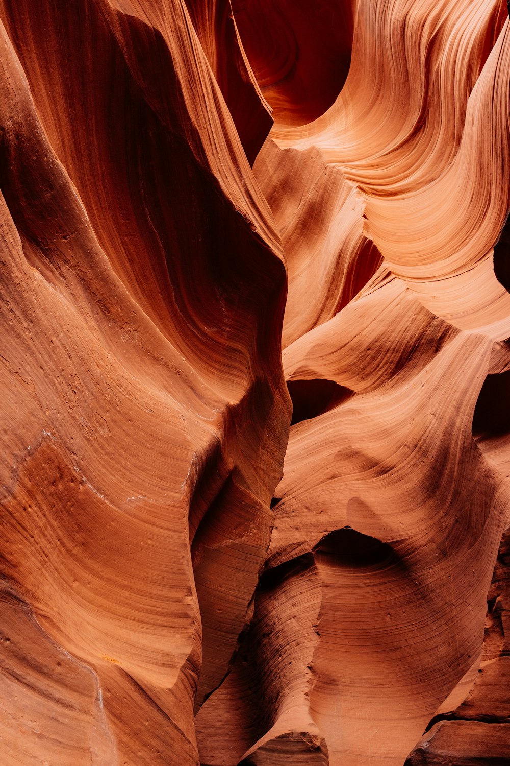 view of antelope at Canyon