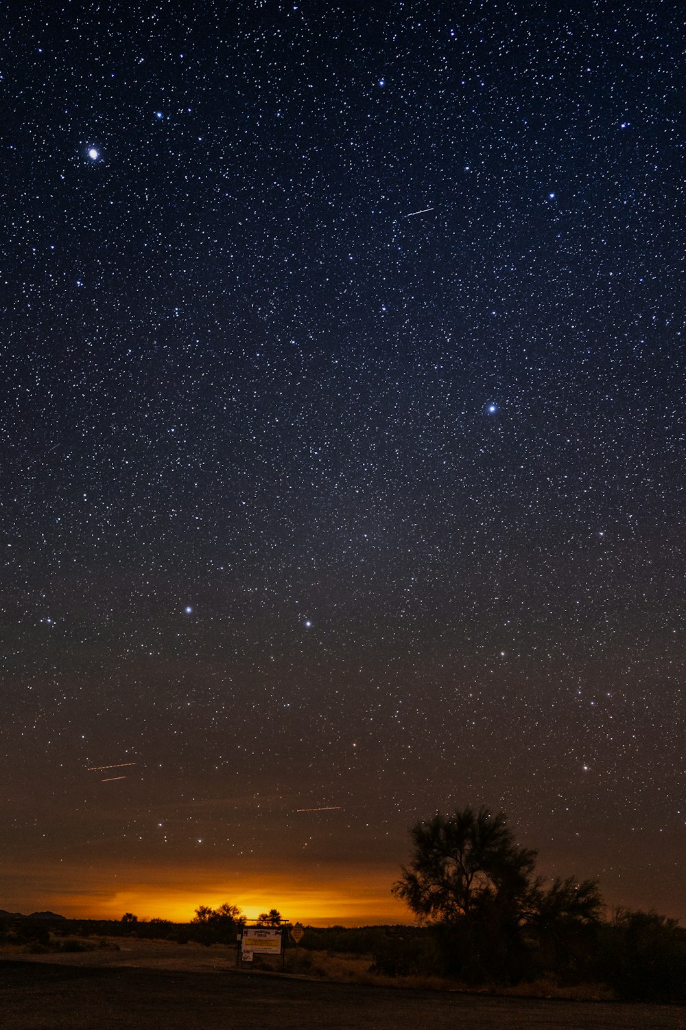 夜の流れ星が見える野原と木