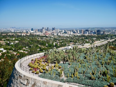 A landscaped garden featuring a variety of cacti and succulents is in the foreground, bordered by a curved stone wall. Beyond the garden, a sprawling urban landscape is visible with numerous buildings and skyscrapers under a clear blue sky. A major highway runs parallel to the cityscape, surrounded by dense greenery and residential areas.