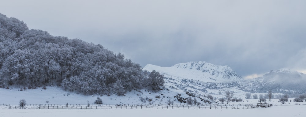 landscape photo of a snowy mountain