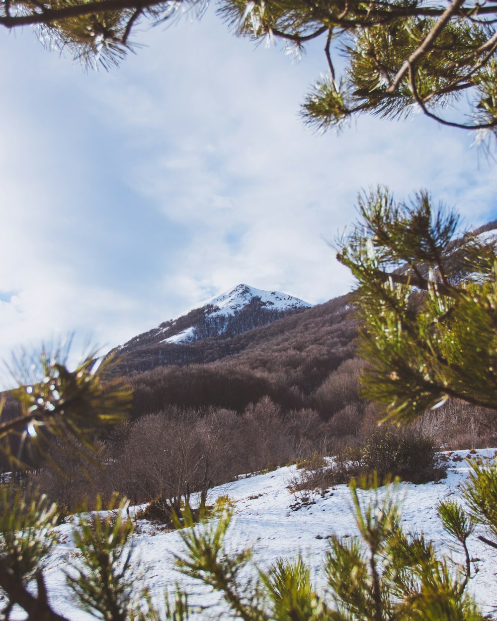 landscape photography of mountain