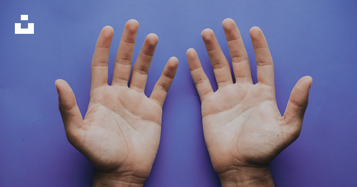 Person's hand illustration photo – Free Hands Image on Unsplash