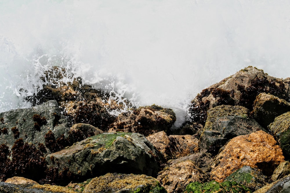 photo of an ocean wave on rocks