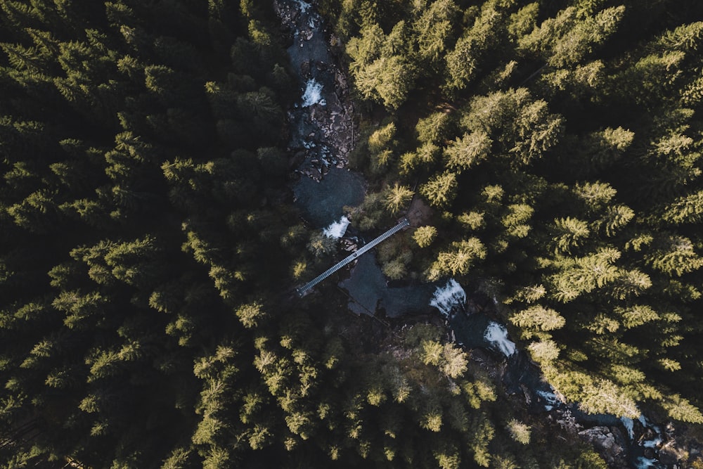 aerial view of river under the bridge