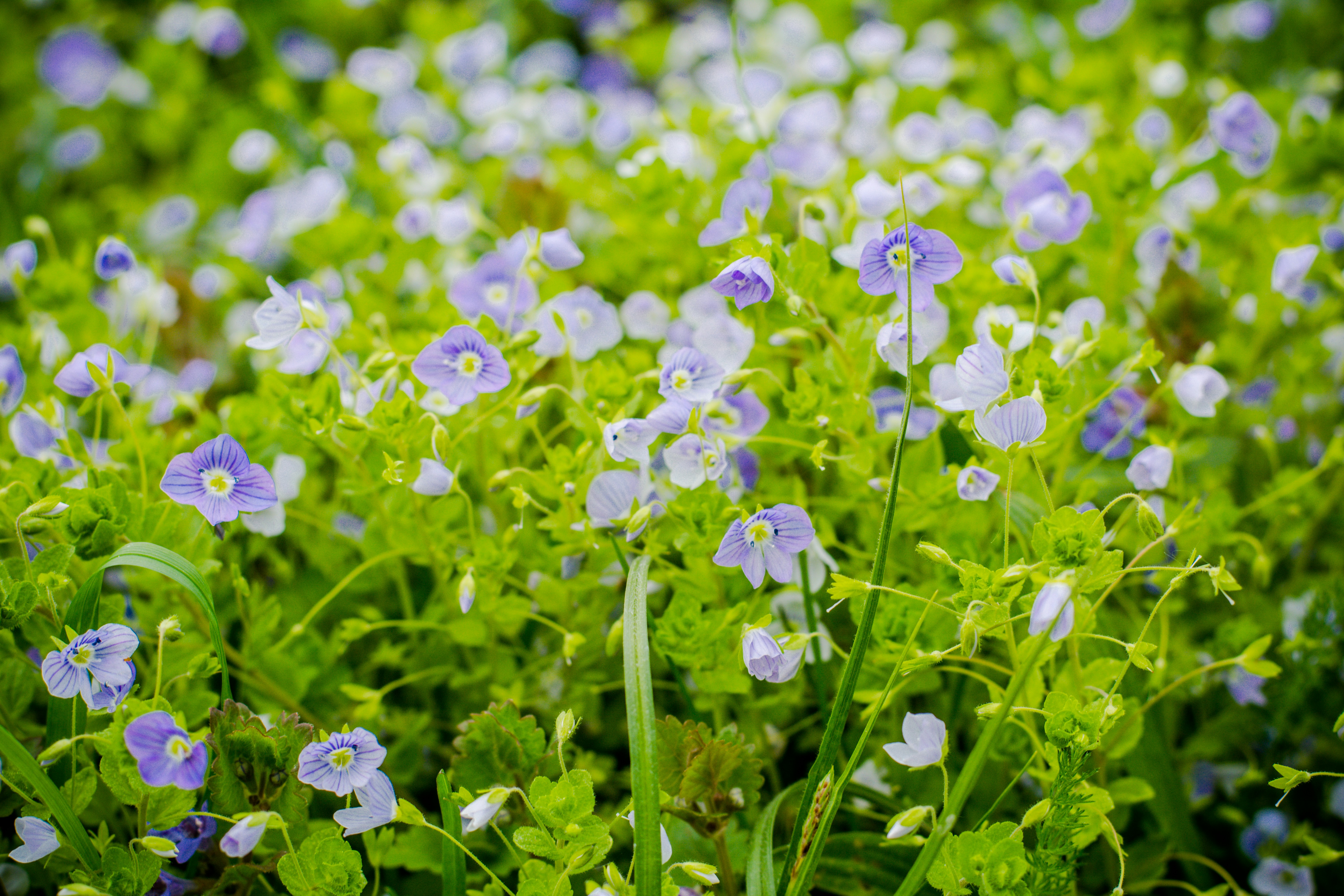 Photo by eugenivy_now