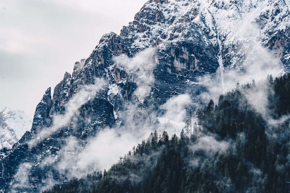 mountain ranges covered in fog