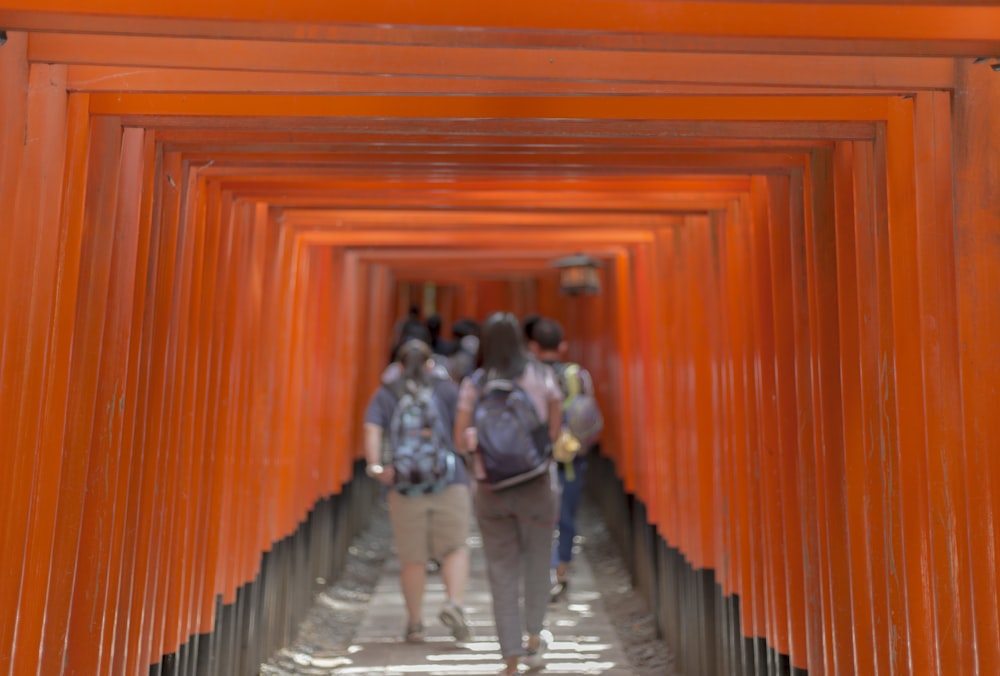 people walking underneath tori gates