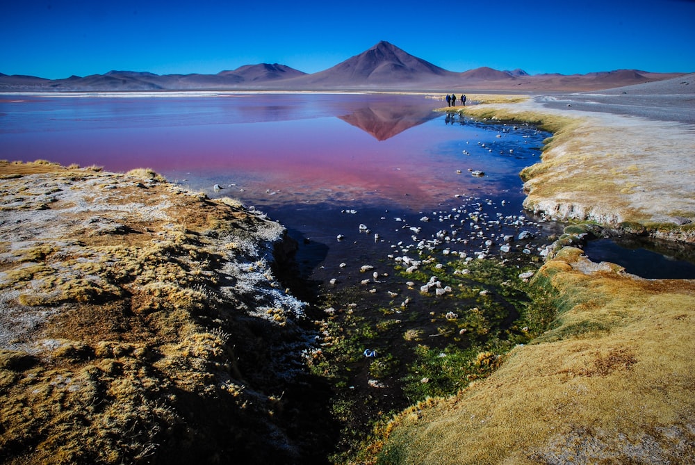 body of water during daytime