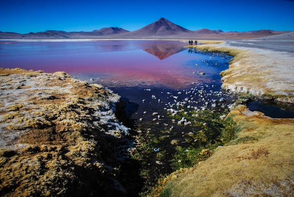 Overland Transfer to Laguna Hedionda in Bolivia