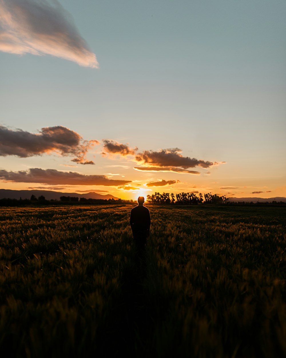 person standing in the middle of plant field during golden hour