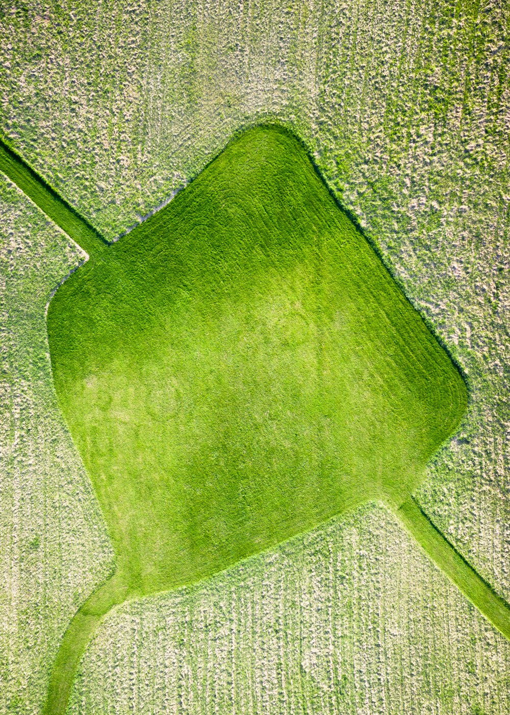 an aerial view of a green field