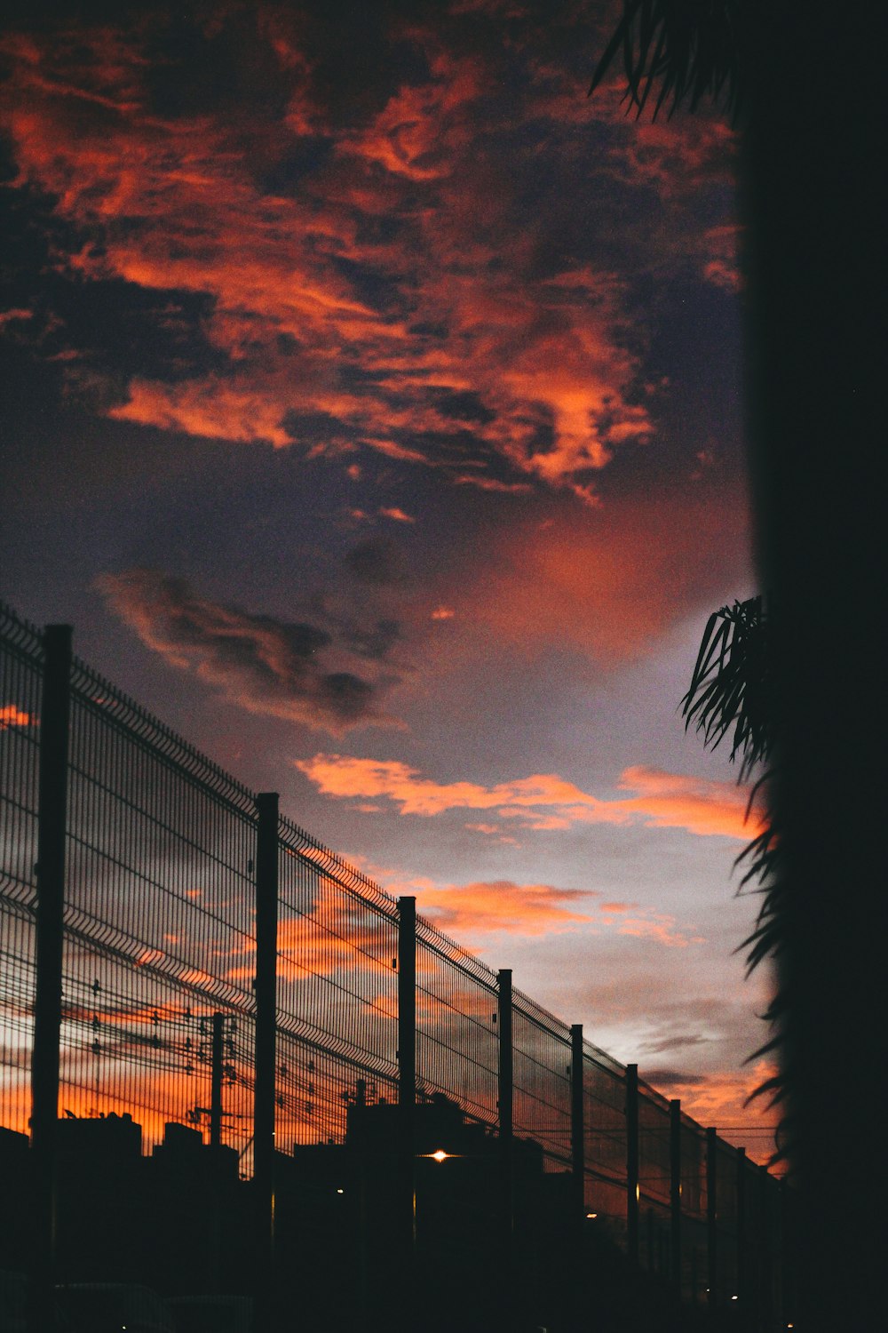 silhouette of wall grille under golden sky