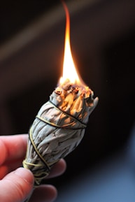 Close-up of hands holding a bundle of sage ready for cleansing rituals.