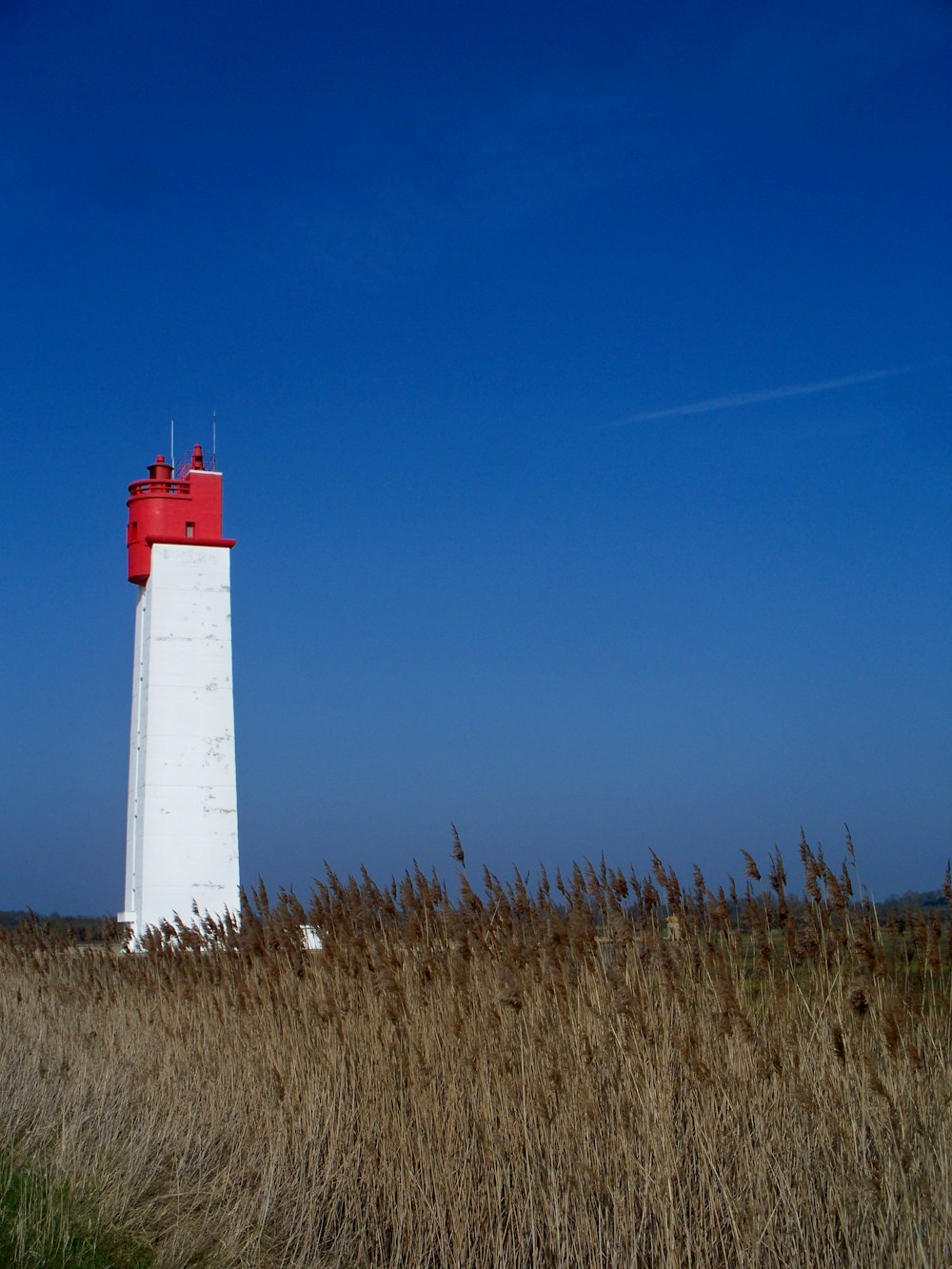 white and red lighthouse