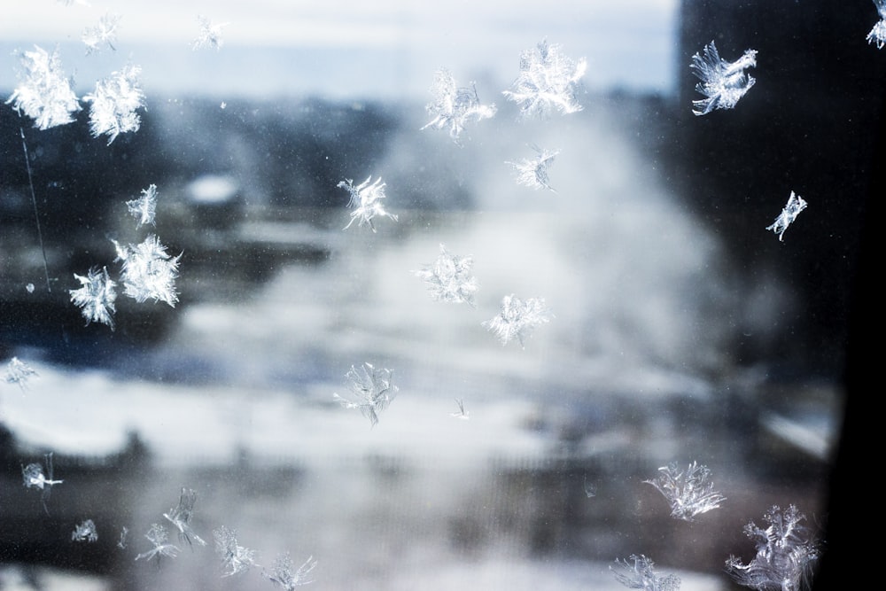 glass window with cracks