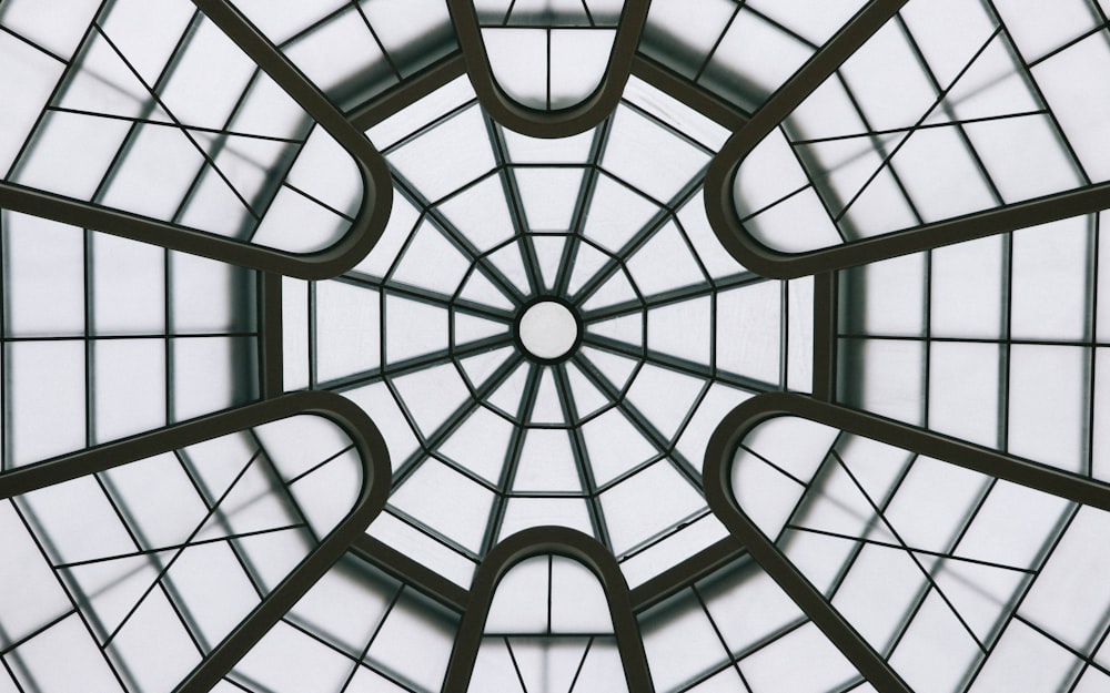 black metal framed glass ceiling