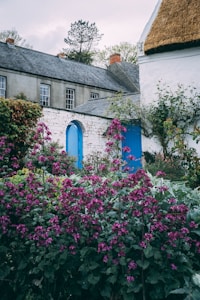 Charming Cottage