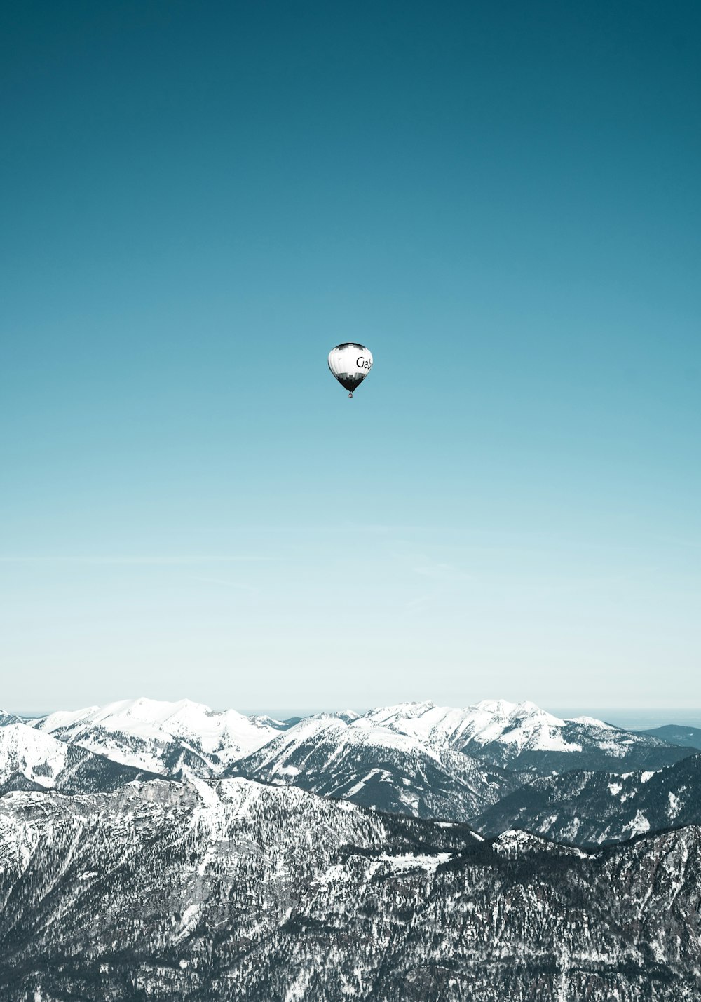 Weiße und schwarze Heißluftballons in der Luft