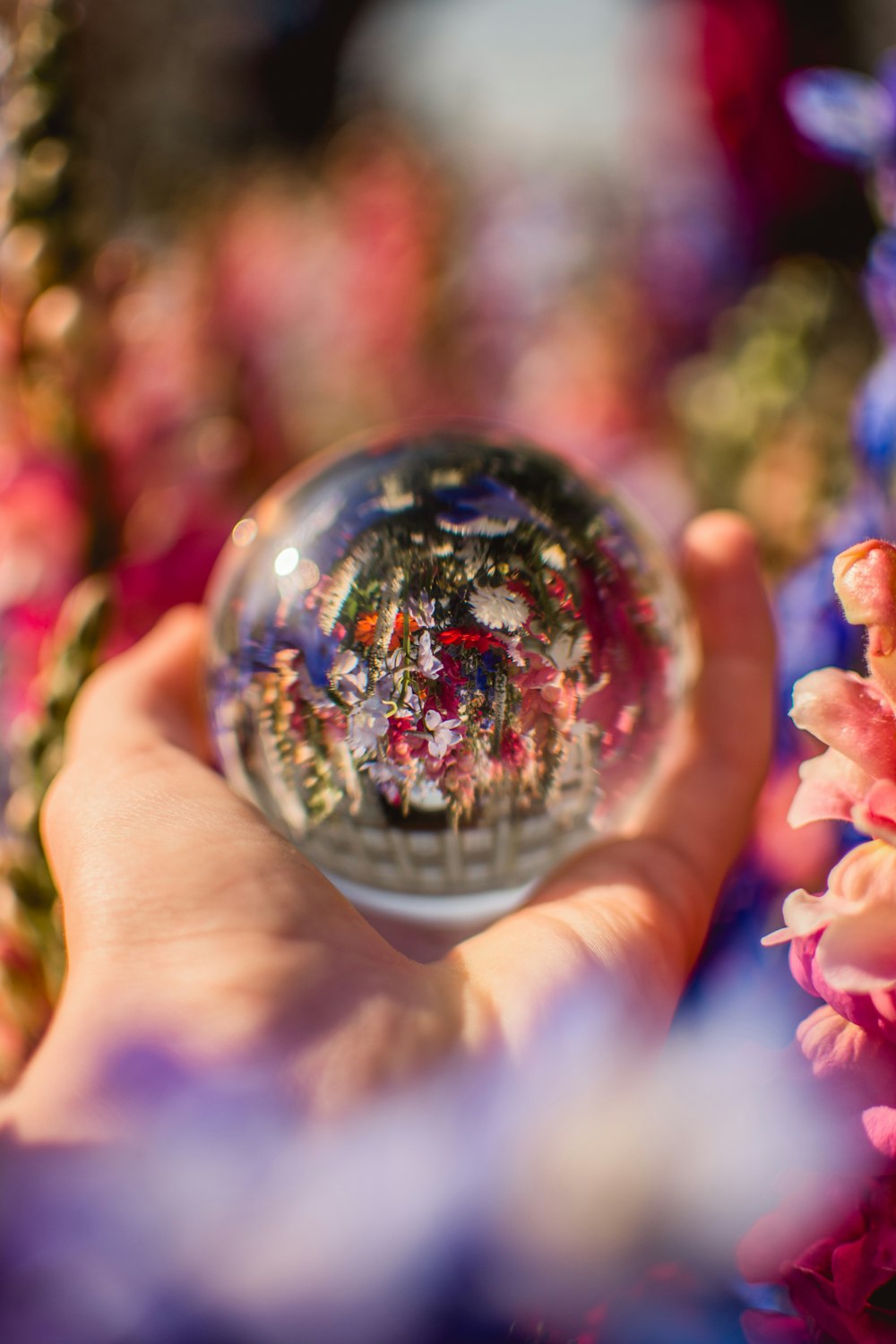 手元の透明なガラスの球体に映る花の盛り合わせ