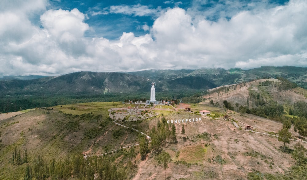 fotografia aérea de árvores