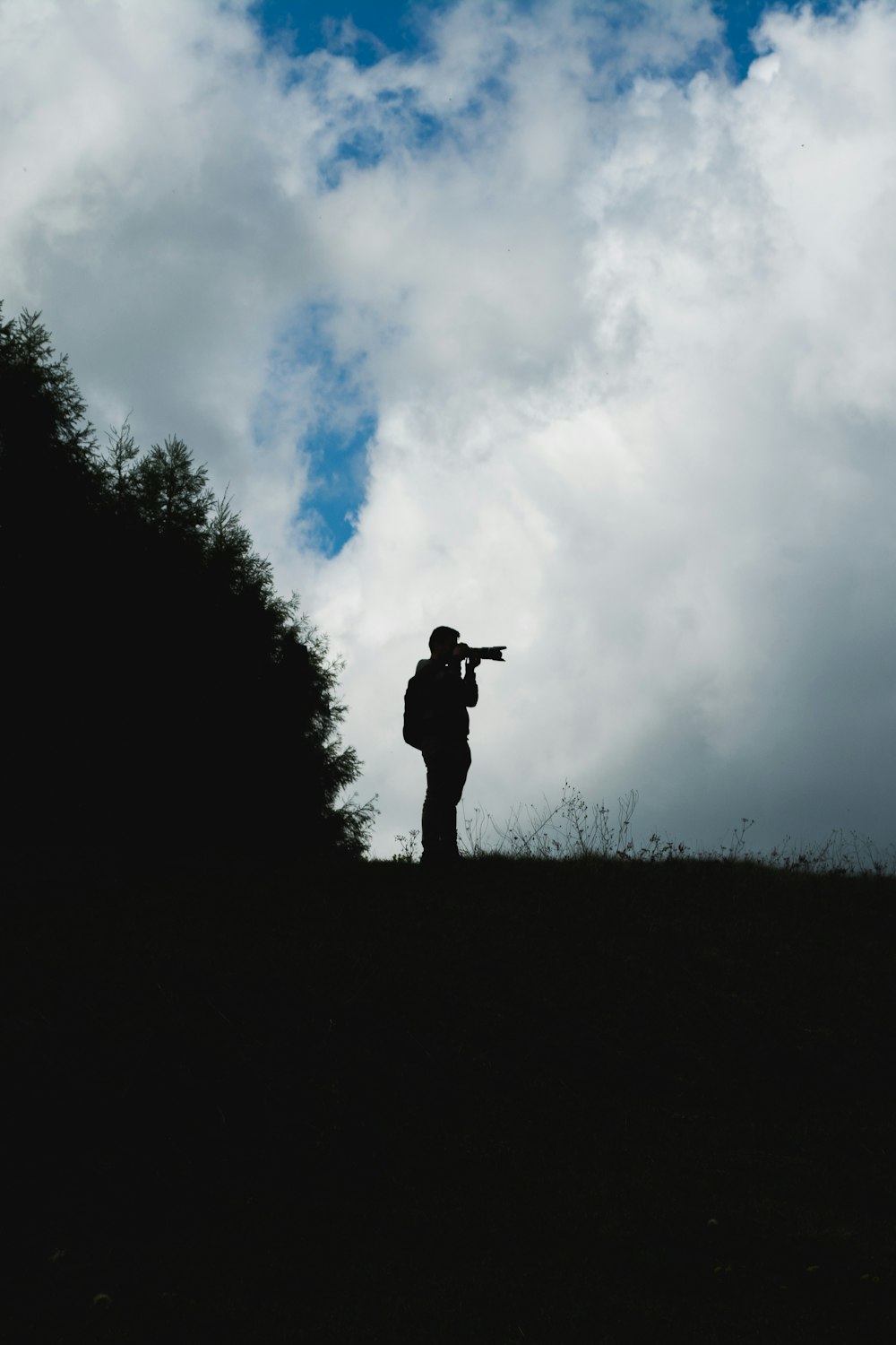 Silhouette eines Mannes, der neben dem Baum fotografiert