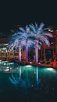 Night view of a hotel pool illuminated with colorful lights surrounded by palm trees.