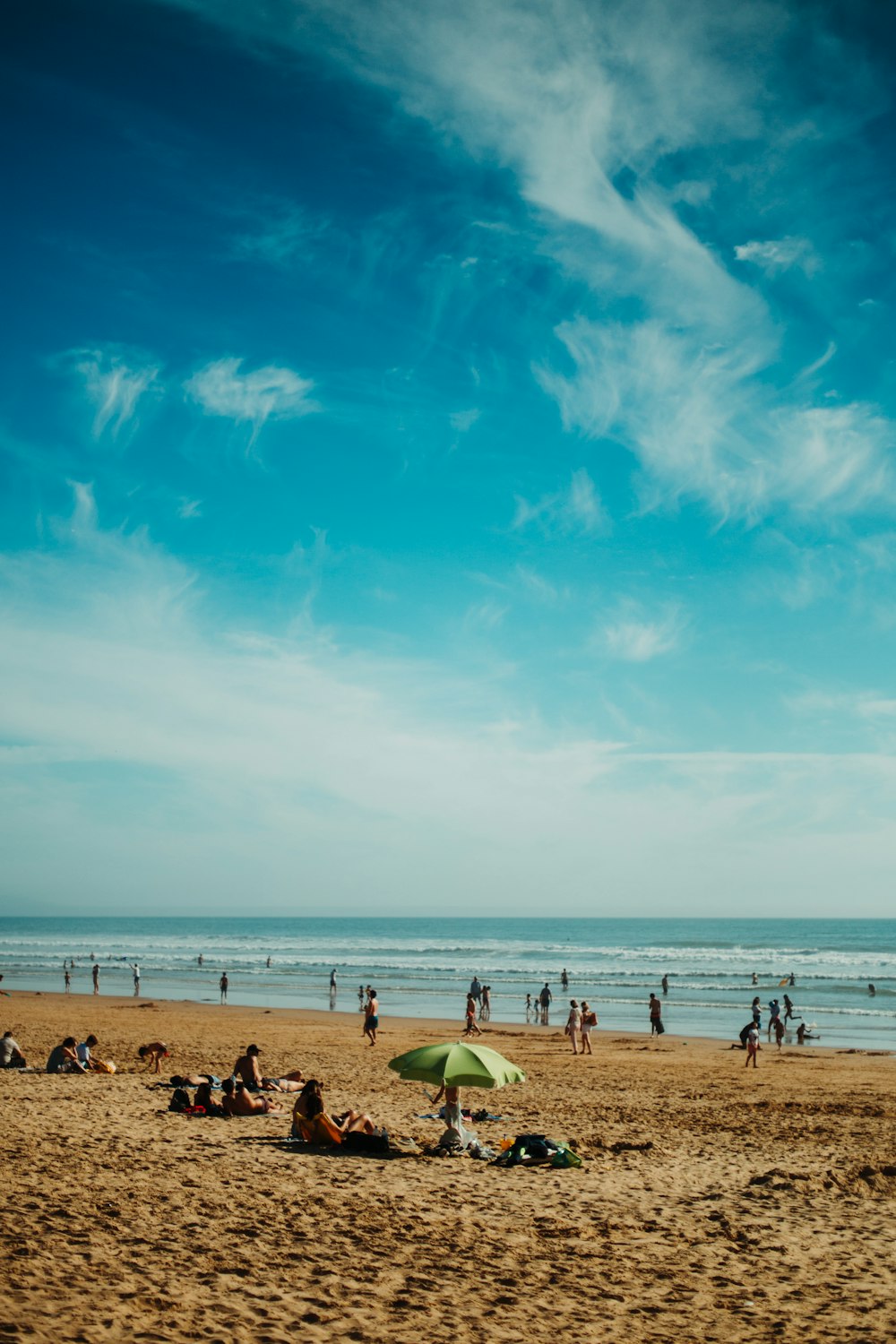 people on seashore during daytime