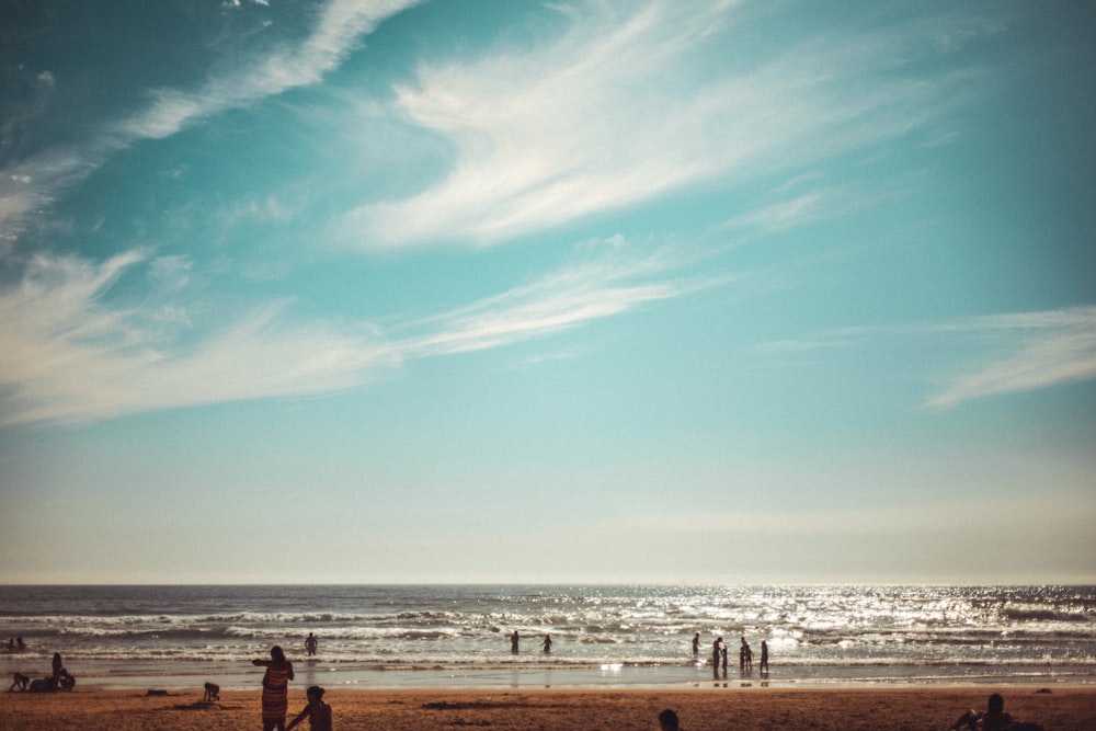 personnes à la plage pendant la journée