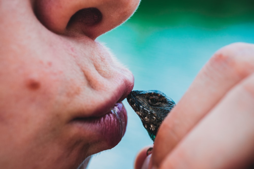 person kissing black lizard