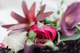 A beautiful ring with intricate design placed beside a blooming flower, symbolizing celebration.