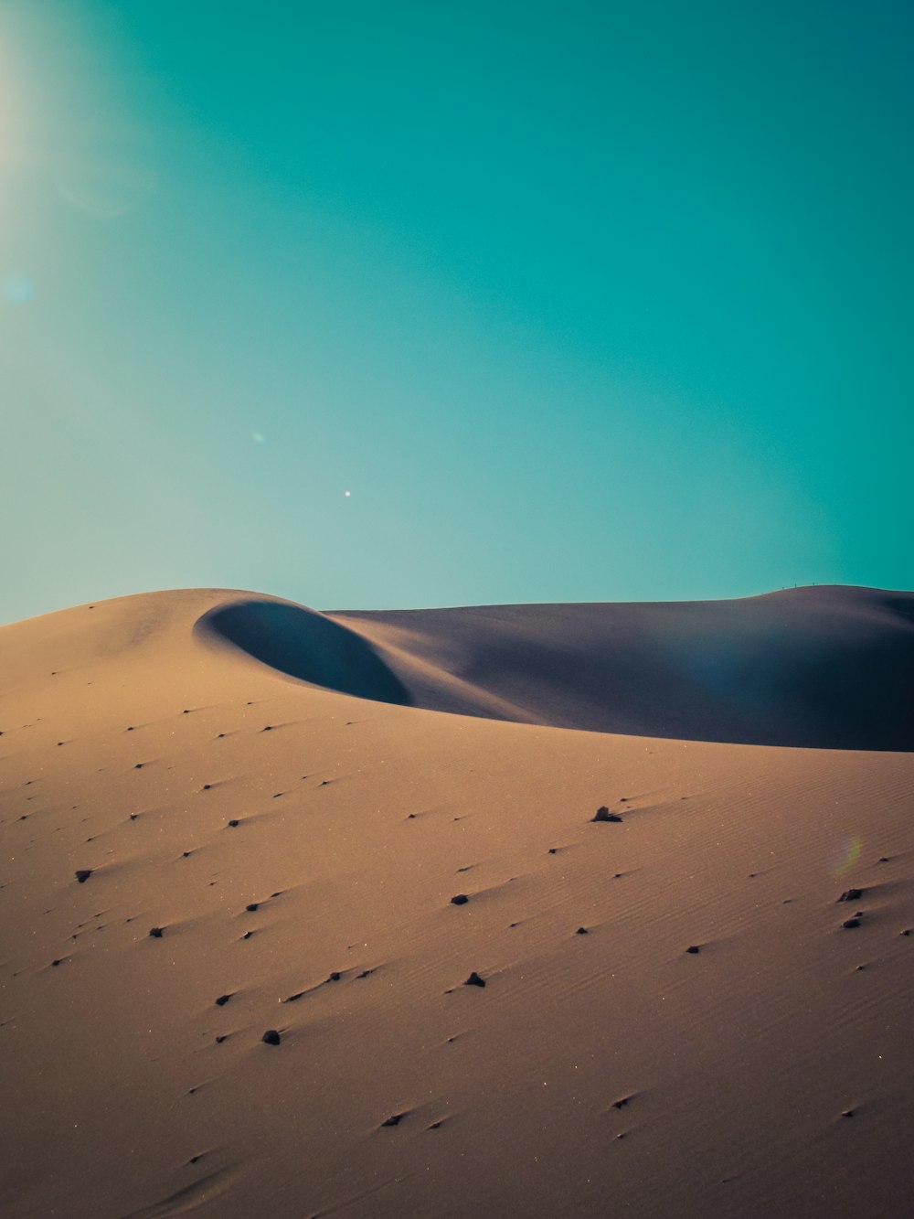 desierto durante el día