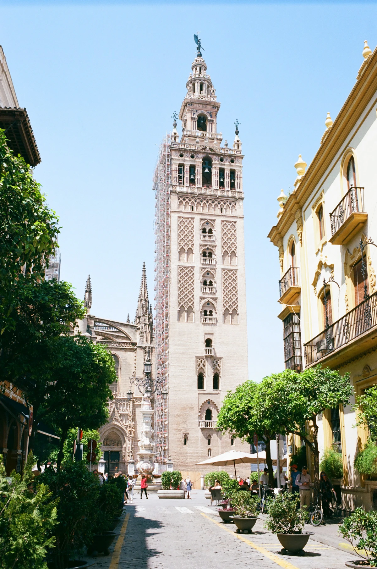 The Giralda tower framed by orange trees and historic buildings in Seville