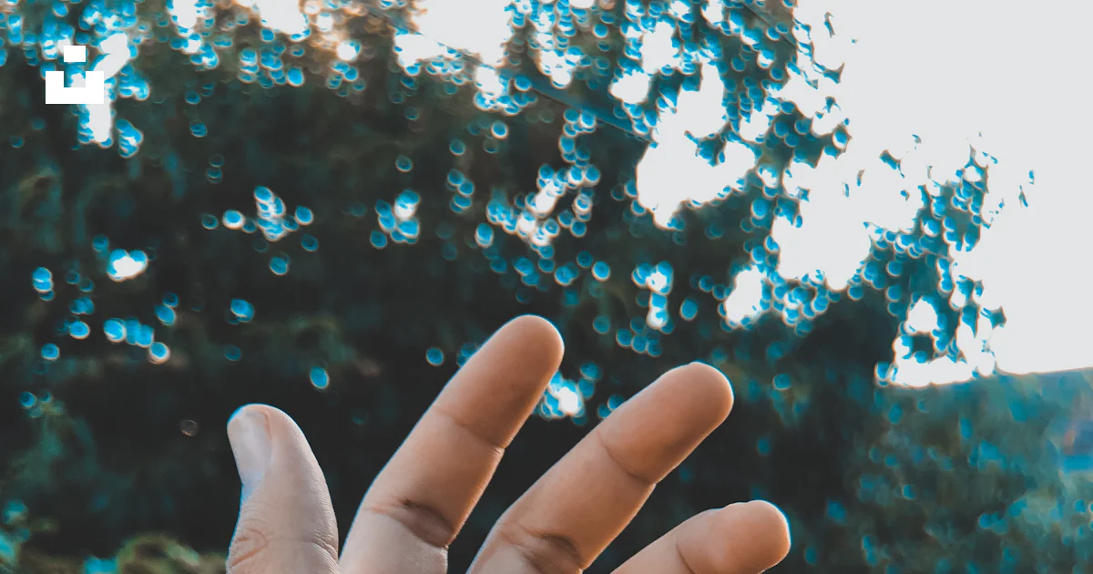 Person's left hand photo – Free Hand Image on Unsplash