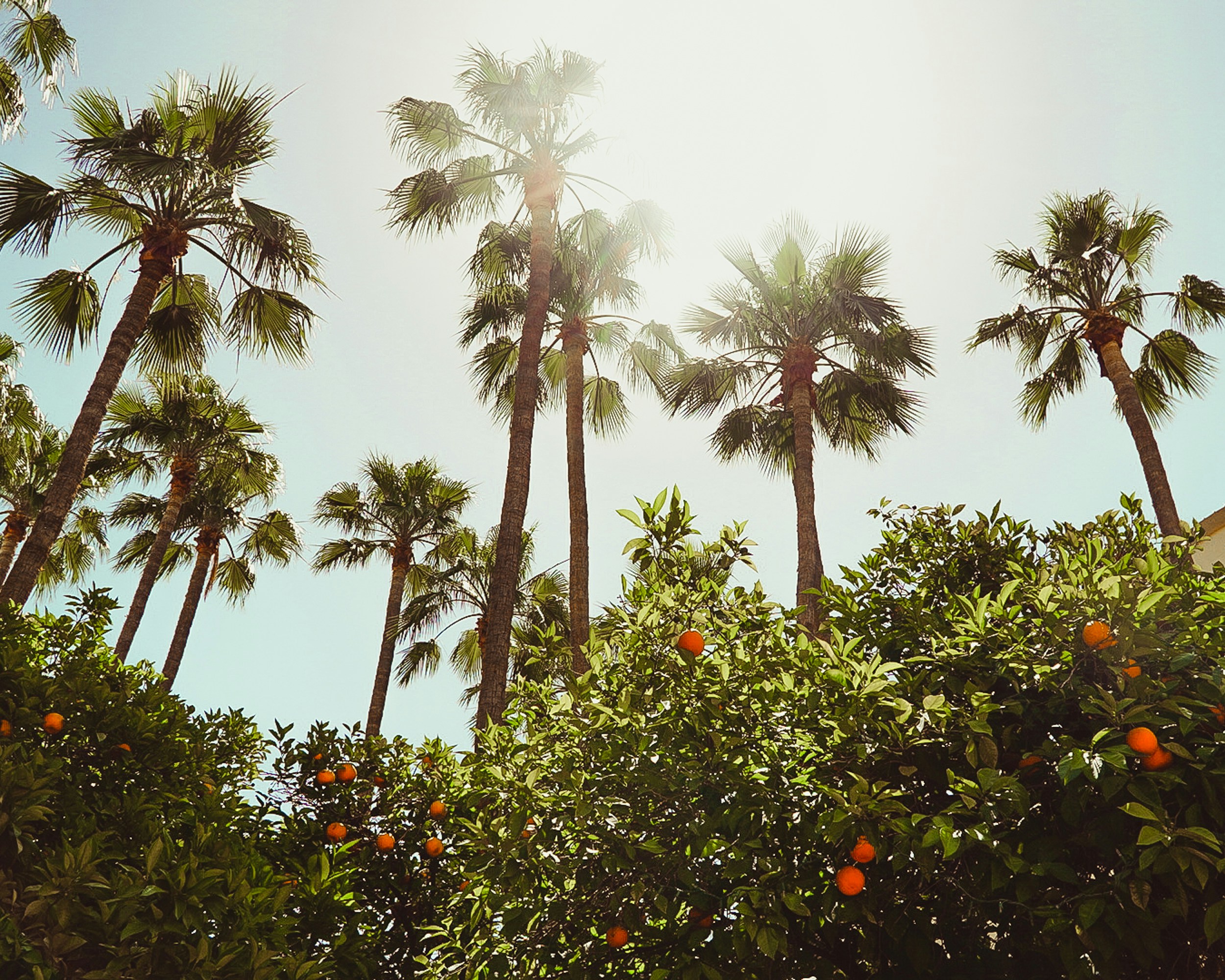 Photo by tobiasseward