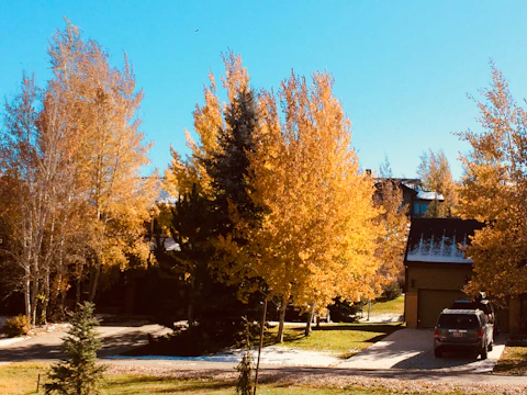 Technicians setting up a propane furnace in a suburban house with autumn leaves outside.