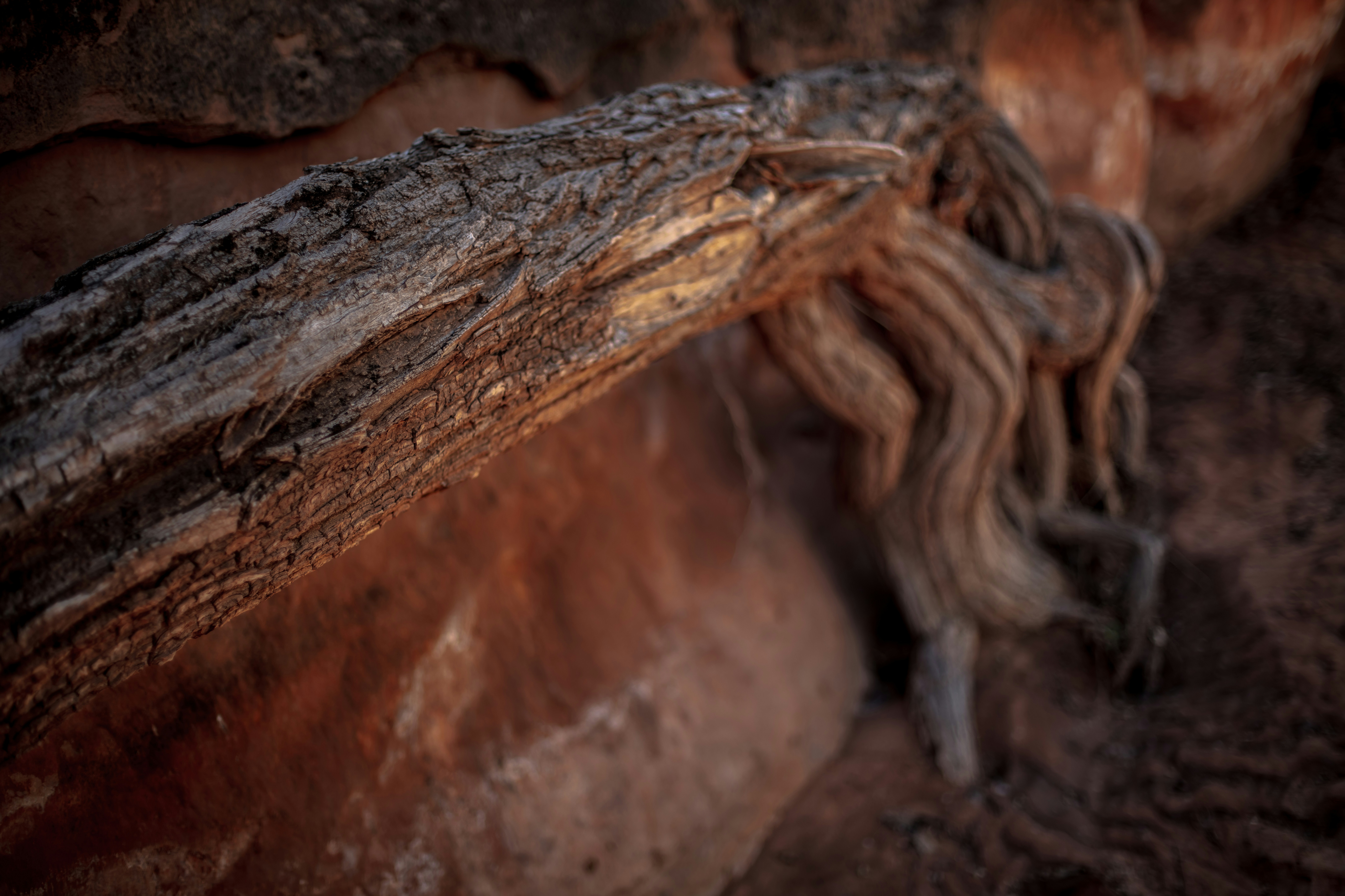 Photo by worldsbetweenlines