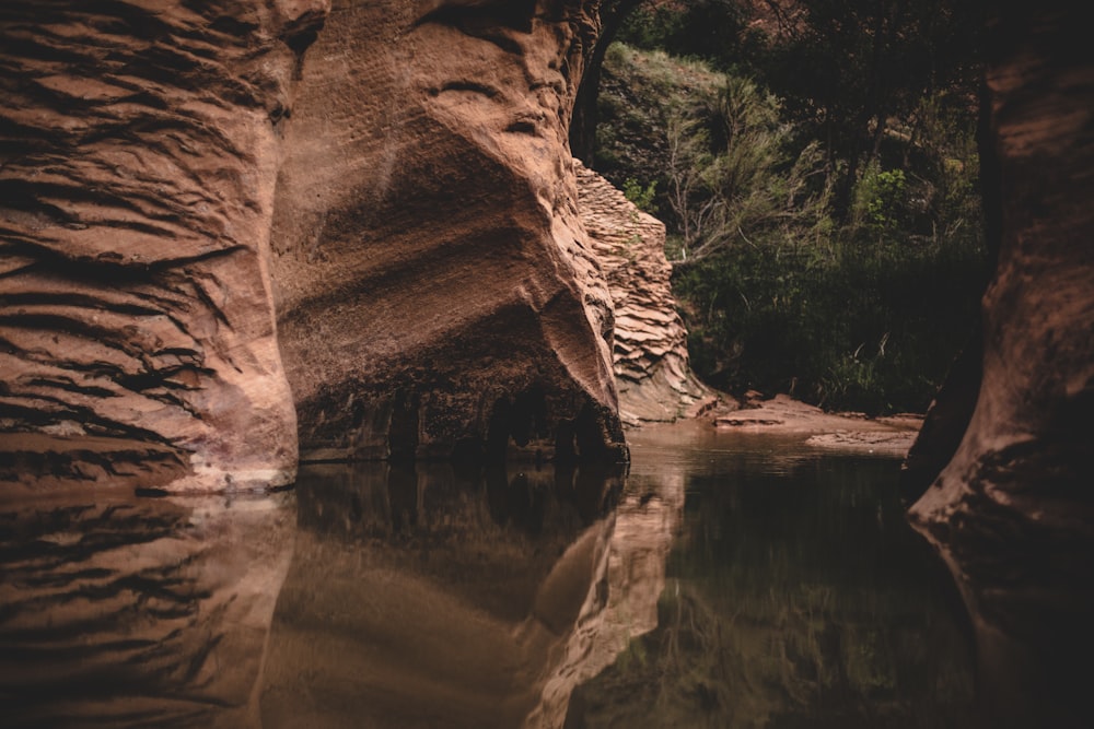 reflection of brown rock in water