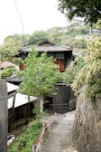 Pathway leading to several tiny houses surrounded by tropical plants in Quartier Bellay.
