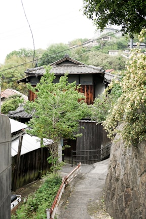 Pathway leading to several tiny houses surrounded by tropical plants in Quartier Bellay.