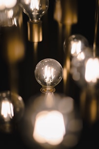 A neatly arranged display of LED bulbs, tubes, and emergency lights glowing softly.