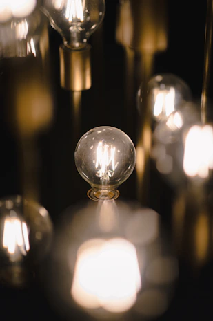 Rows of LED bulbs glowing softly on display shelves in a showroom.