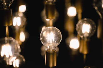 A collection of glowing LED bulbs in different shapes and sizes against a dark background.